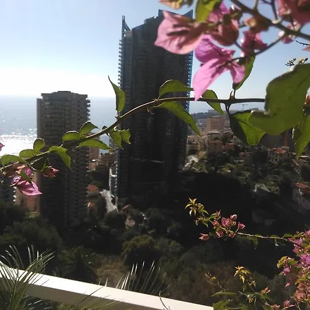 Monaco Pool Sea View